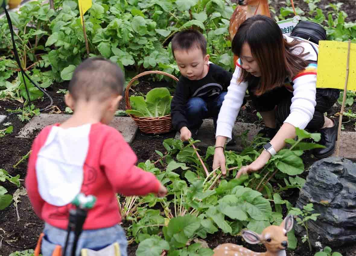 广州70层的楼,广州70层空中农场地址在哪里