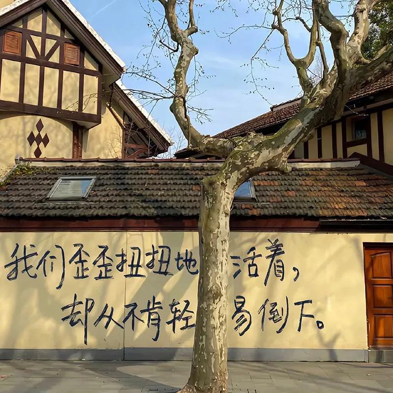 背景图一组个性,背景图一组精选朋友圈背景图