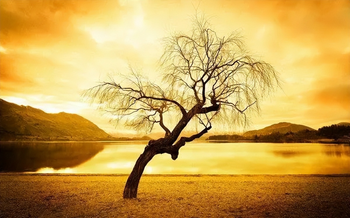 23岁男人养肾的方法,男人养生保健知识