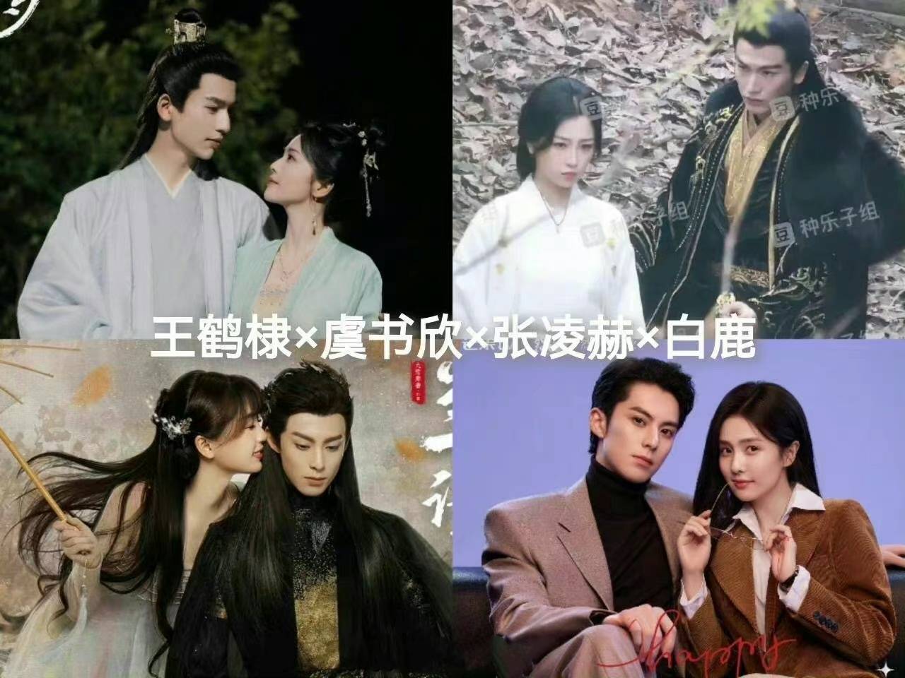 白鹿罗云熙王鹤棣张凌赫虞书欣 (白鹿张凌赫虞书欣王鹤棣cp混剪)