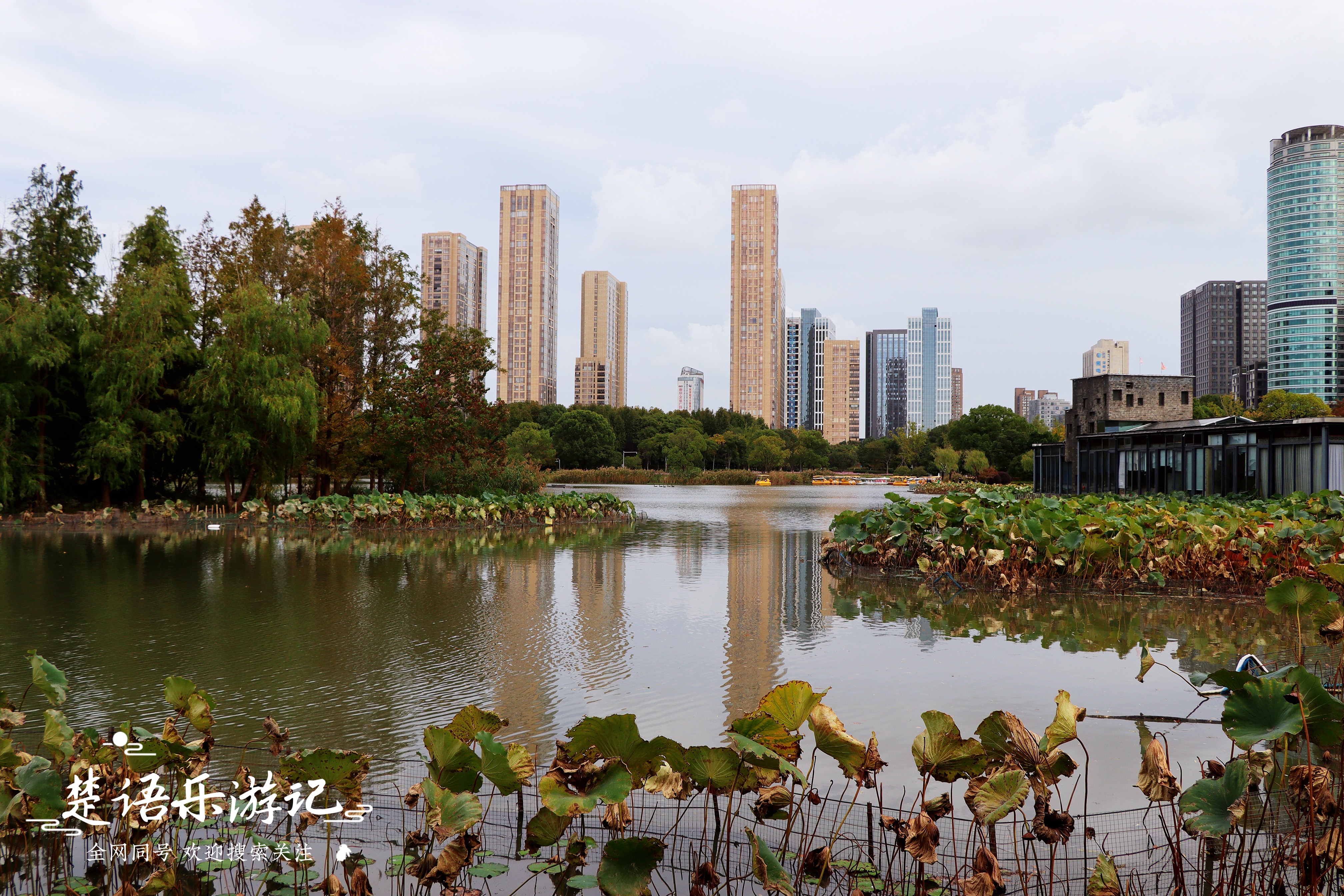 宁波最浪漫的粉黛花海,宁波油菜花海景区