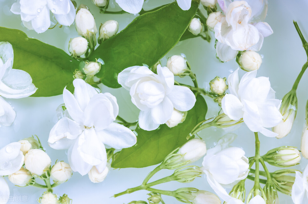 记录夏天唯美的诗词,诗词中关于夏天的10件风雅小事