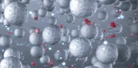 为什么家里总有很多“毛絮”？学会这么做，毛絮自动消失，贼实用