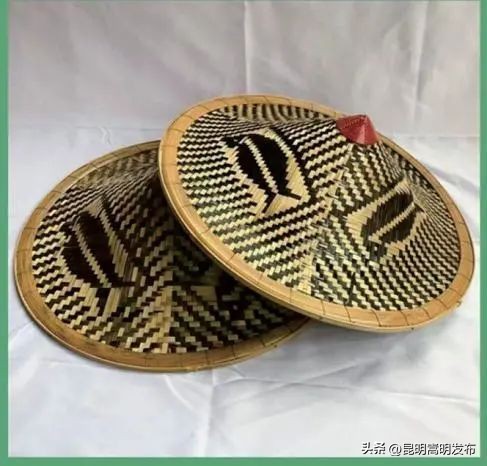 花博会云南,花博会来了