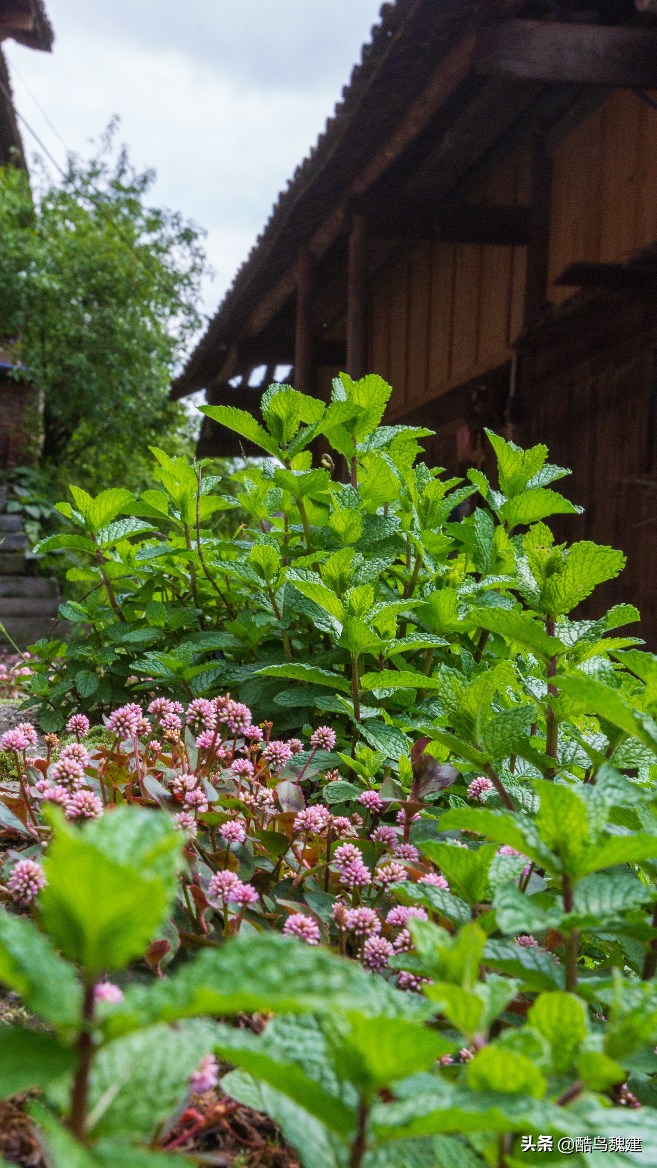 贵州黔南十大魅力景区,贵州哪座山最美