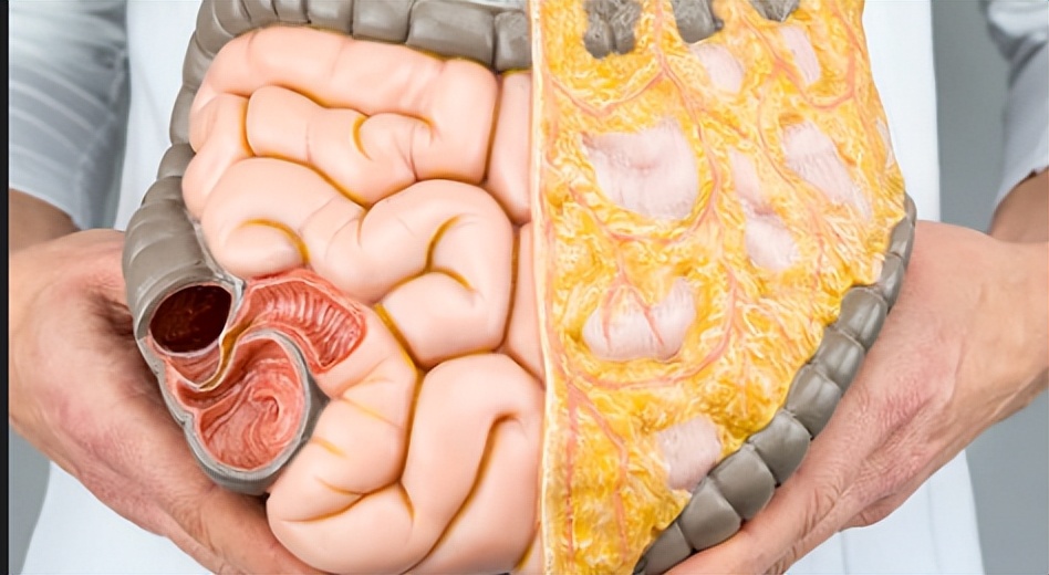 腹部腰部有赘肉怎么减掉,腰部和腹部赘肉怎么减下去