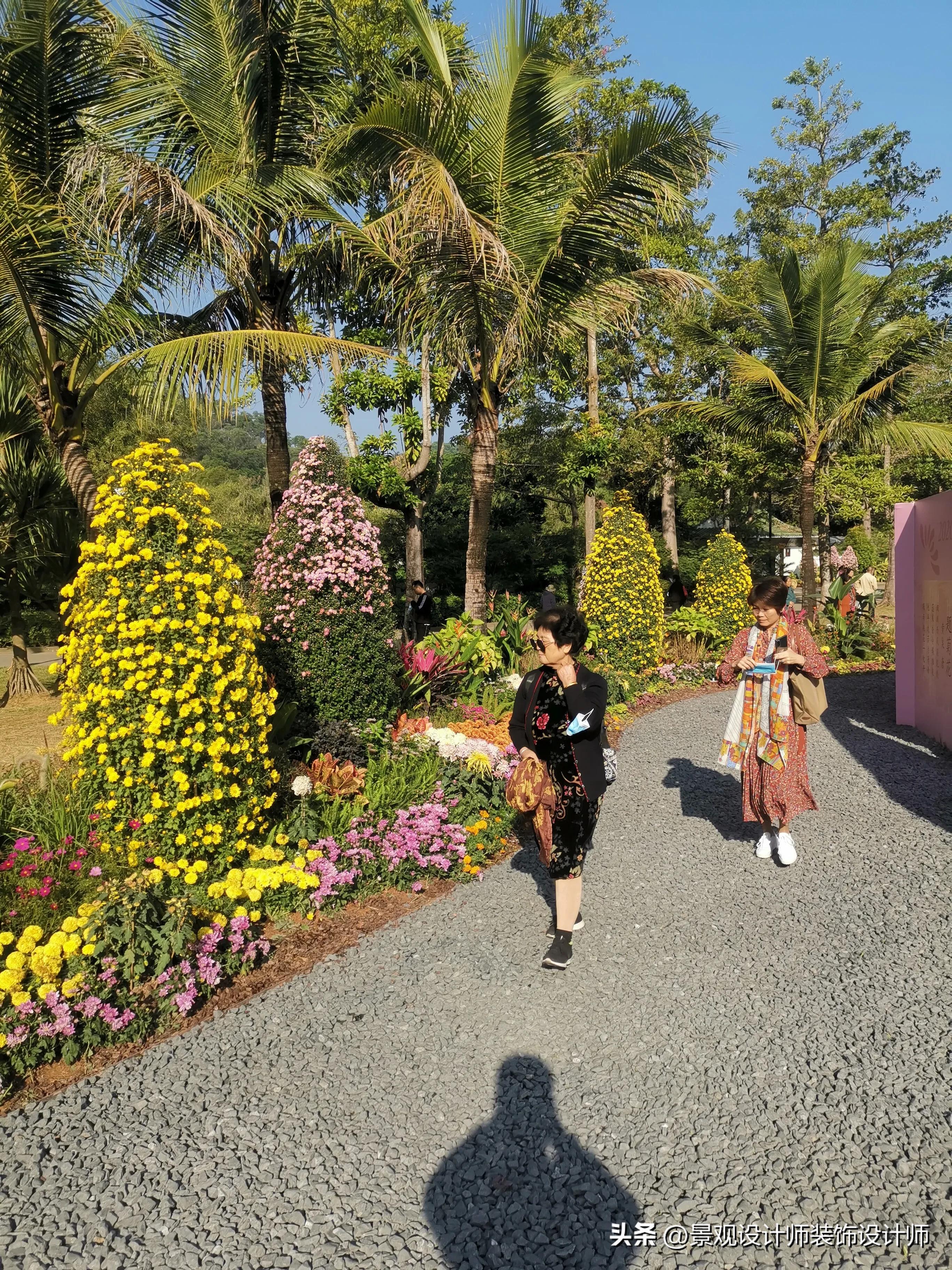 深圳市东湖公园广场舞,深圳市东湖公园收费标准