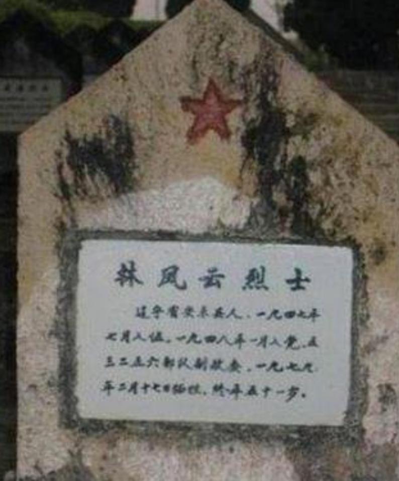 对越反击战西线和东线哪个打得好,对越自卫反击战东溪战役