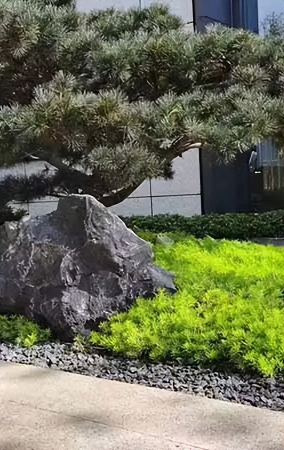 「干货」暑去秋来，庭院草坪养护技巧