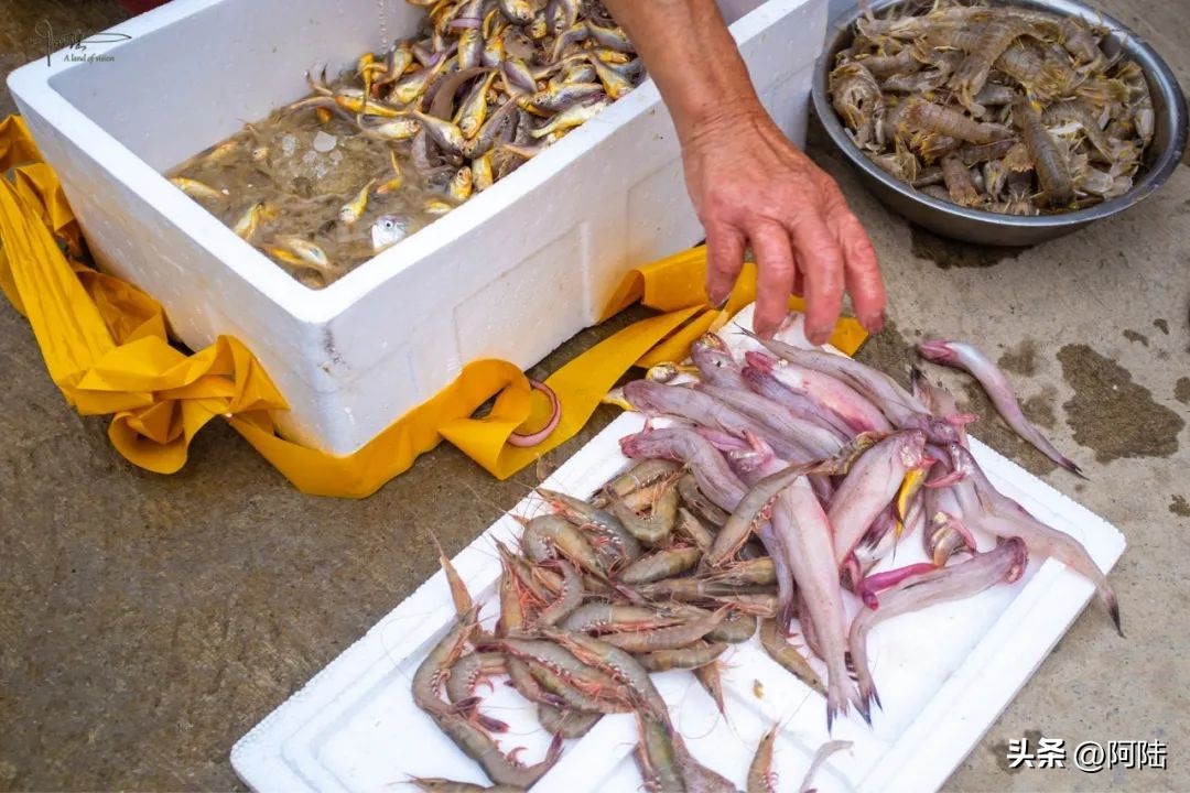 去舟山朱家尖住哪里方便,自驾游到舟山朱家尖怎么安排住宿