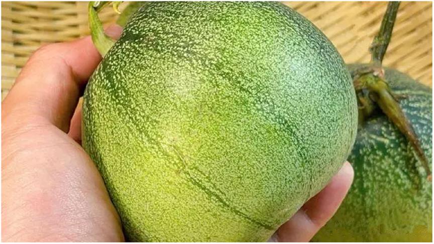 买香瓜是白绿皮还是黄皮好,香瓜选瓜脐凸出来的还是凹进去的