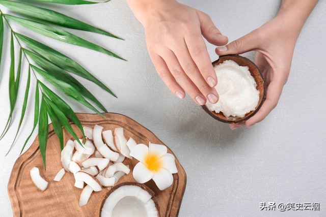 菲律宾群岛椰子树,15世纪菲律宾有多强