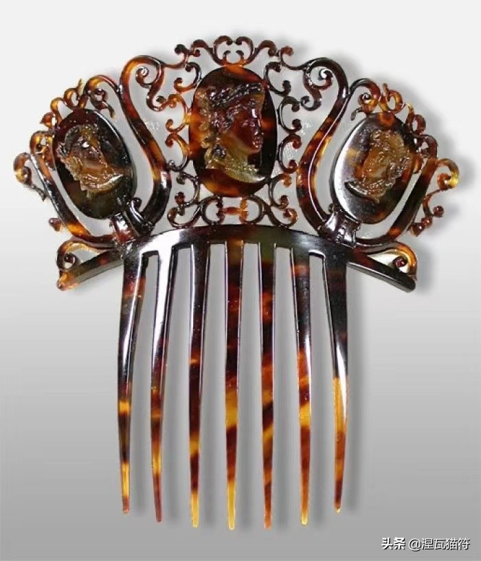 中国猫咪品种玳瑁猫,田园玳瑁猫的嘴