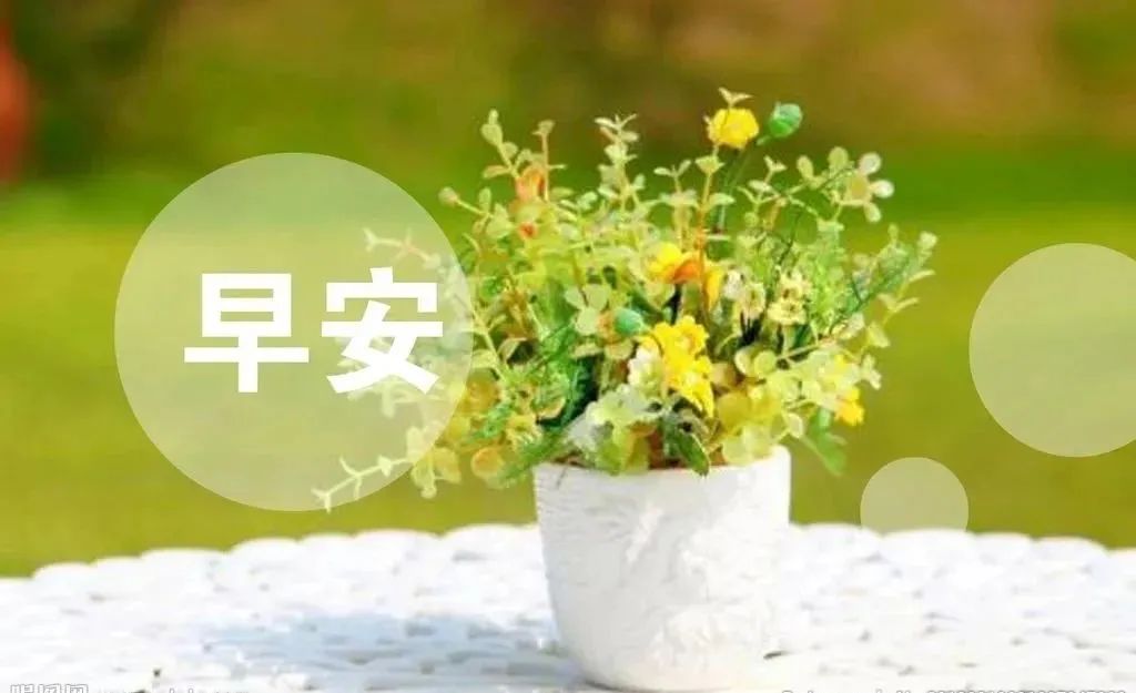 最新早安心语正能量短句,早安的问候语正能量句子励志图片
