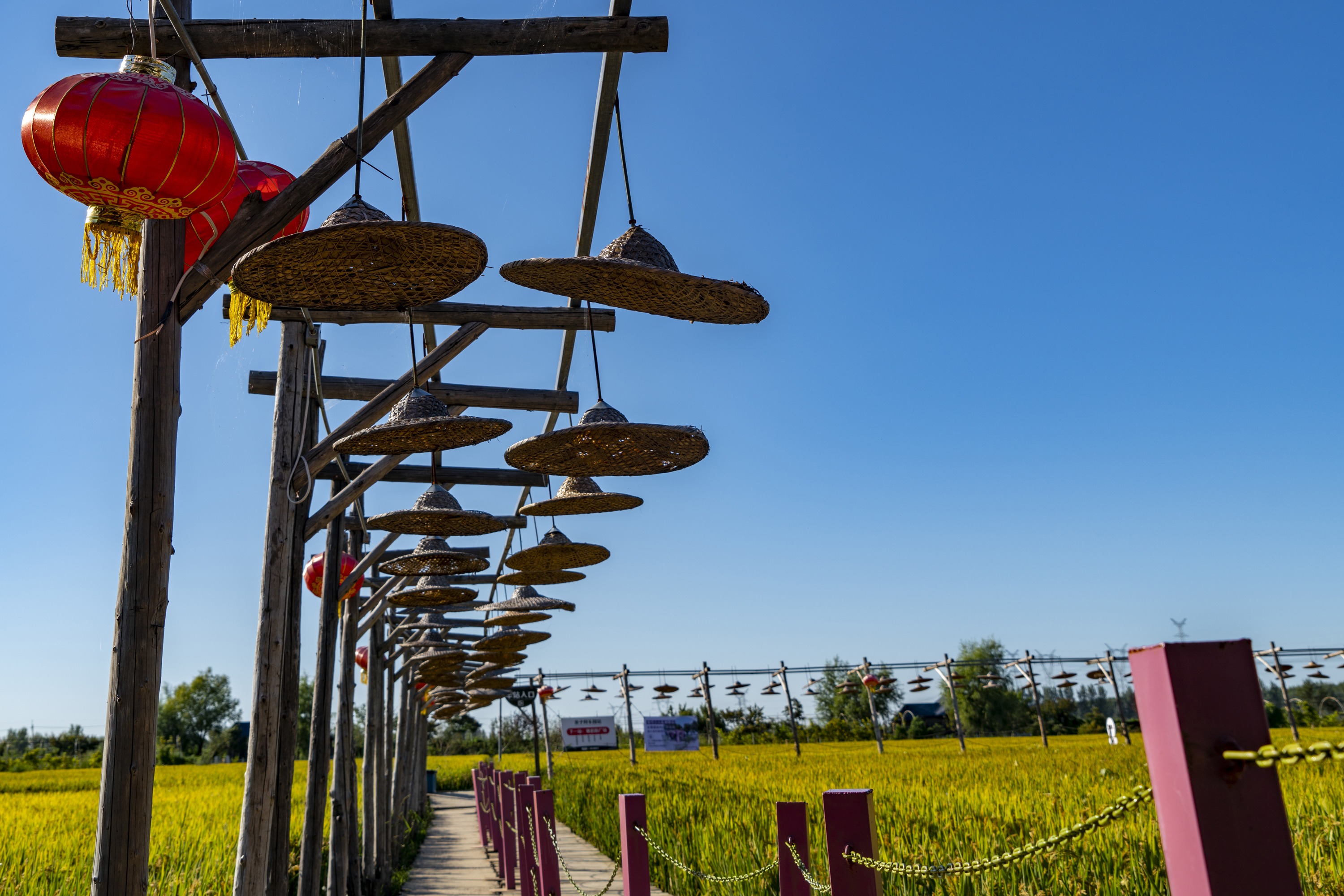 沈阳市稻梦空间,沈阳稻梦空间附近农家院