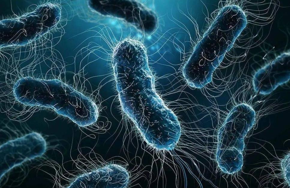 呼吸道感染阿奇霉素和头孢哪个好,阿莫西林和罗红霉素治呼吸道感染