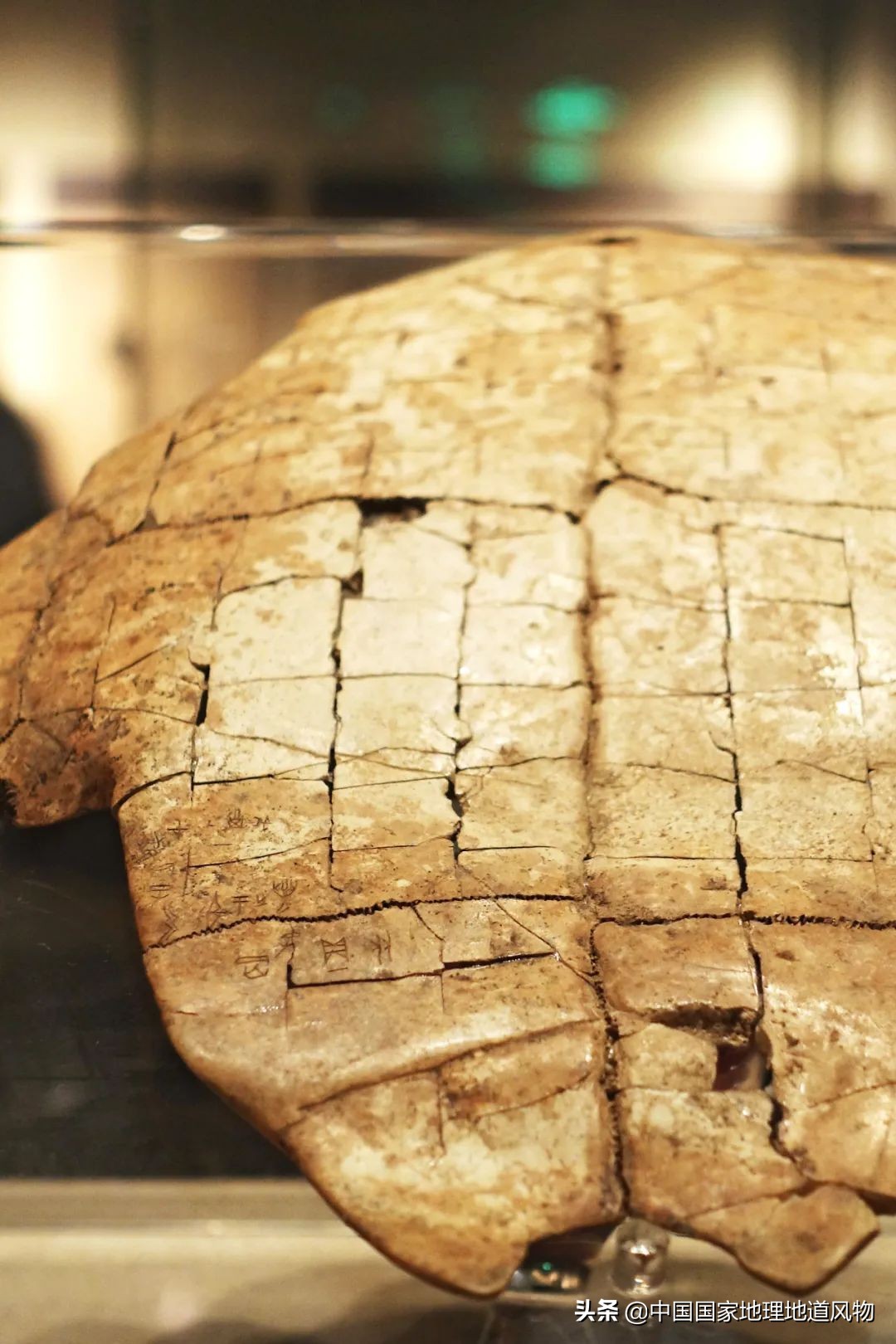 河南一个被误解的宝藏大省,河南被低估的宝藏景区鸡公山