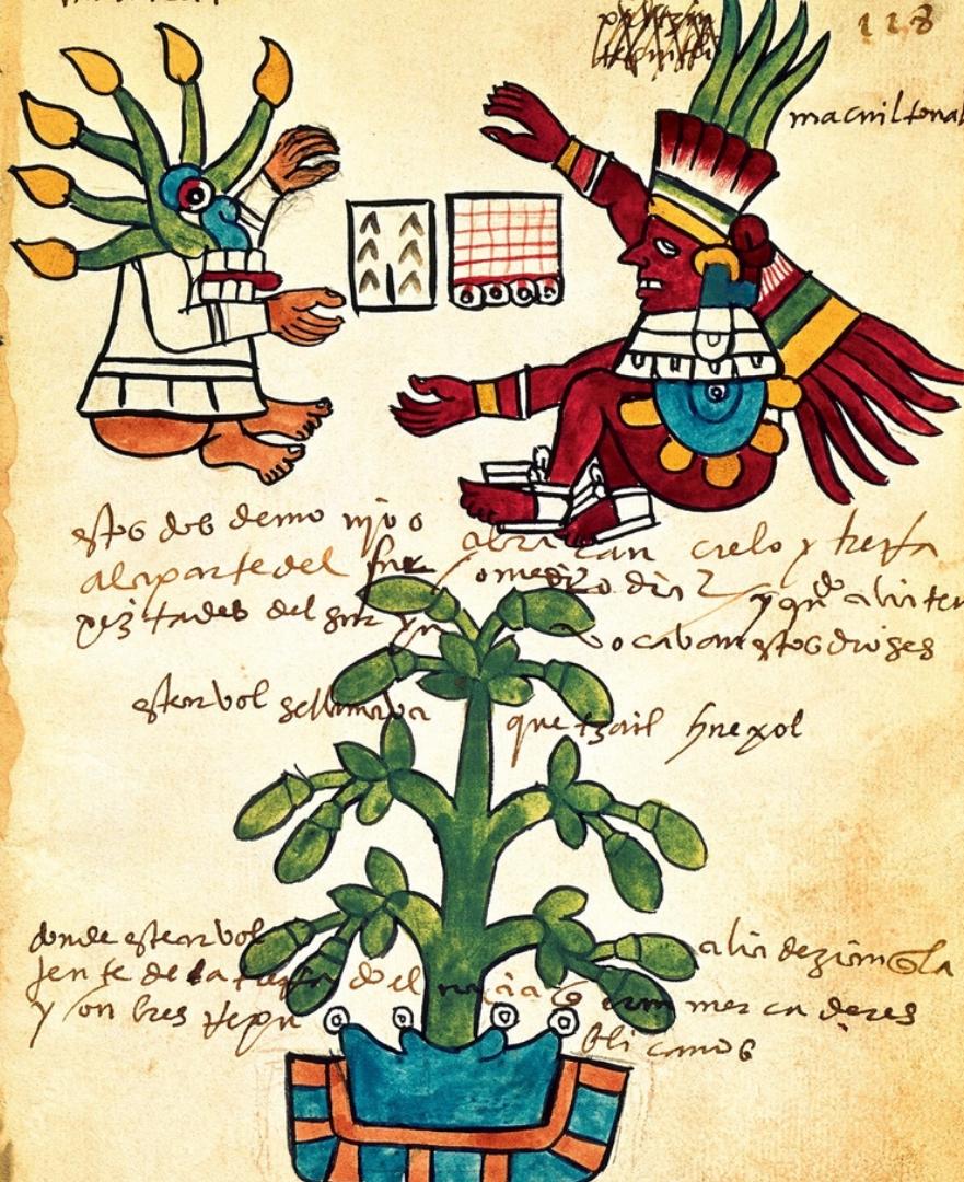 产自中美洲的“不起眼小黑豆”，缘何成为西班牙流行饮食文化？