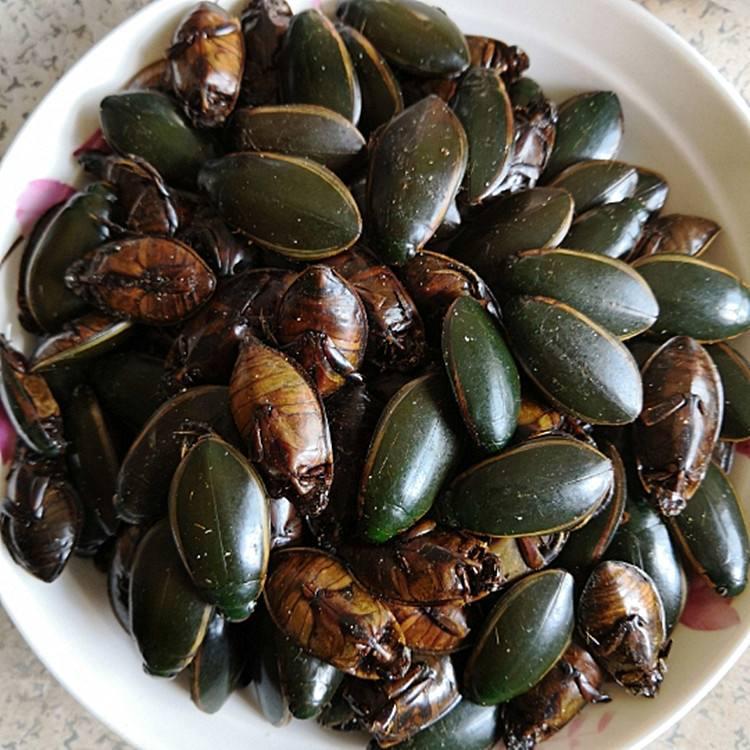 广东十大奇怪菜,广东10大奇葩菜