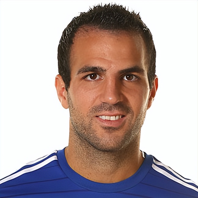 隐入尘烟镜头梵高,隐入尘烟巴比松画派