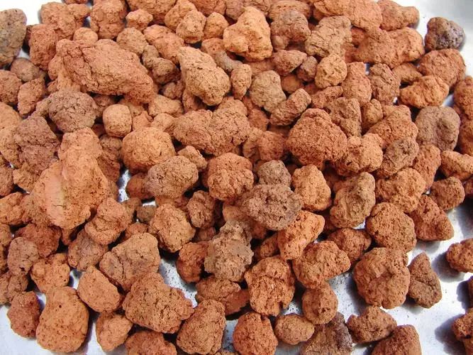 养兰植料要因地制宜,养兰花植料技术管理视频