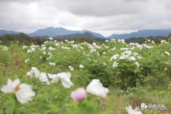 江西赣州宁都美景,江西宁都景色