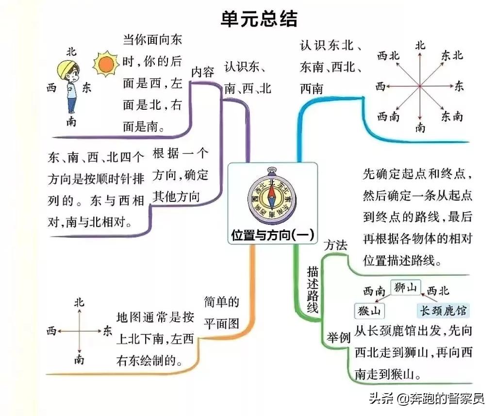 三年级下册数学重点知识思维导图,familytree思维导图三年级