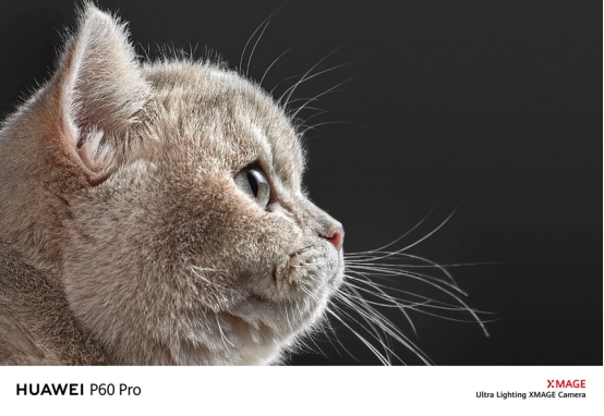 华为p60pro塑造年度摄影旗舰,华为p60pro拍风景照