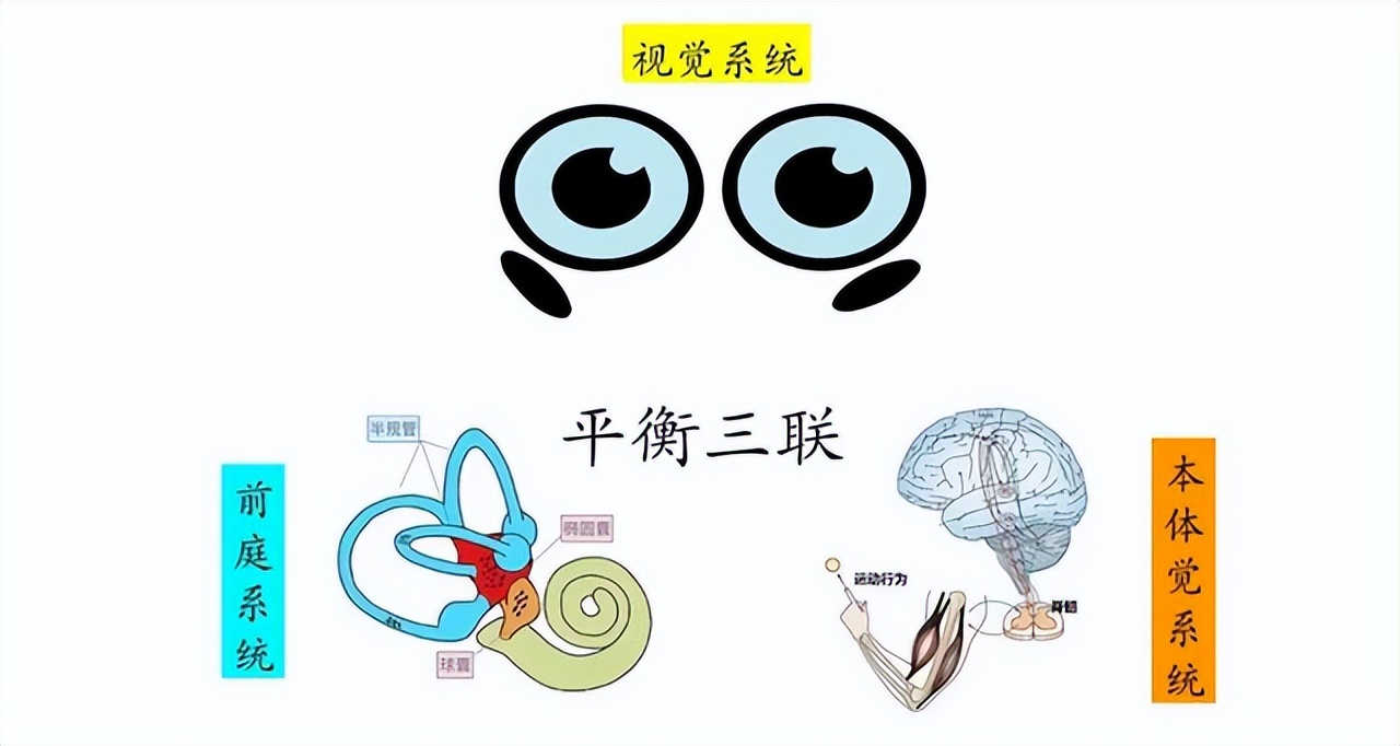 「转载」眩晕是怎么回事？怎么办？