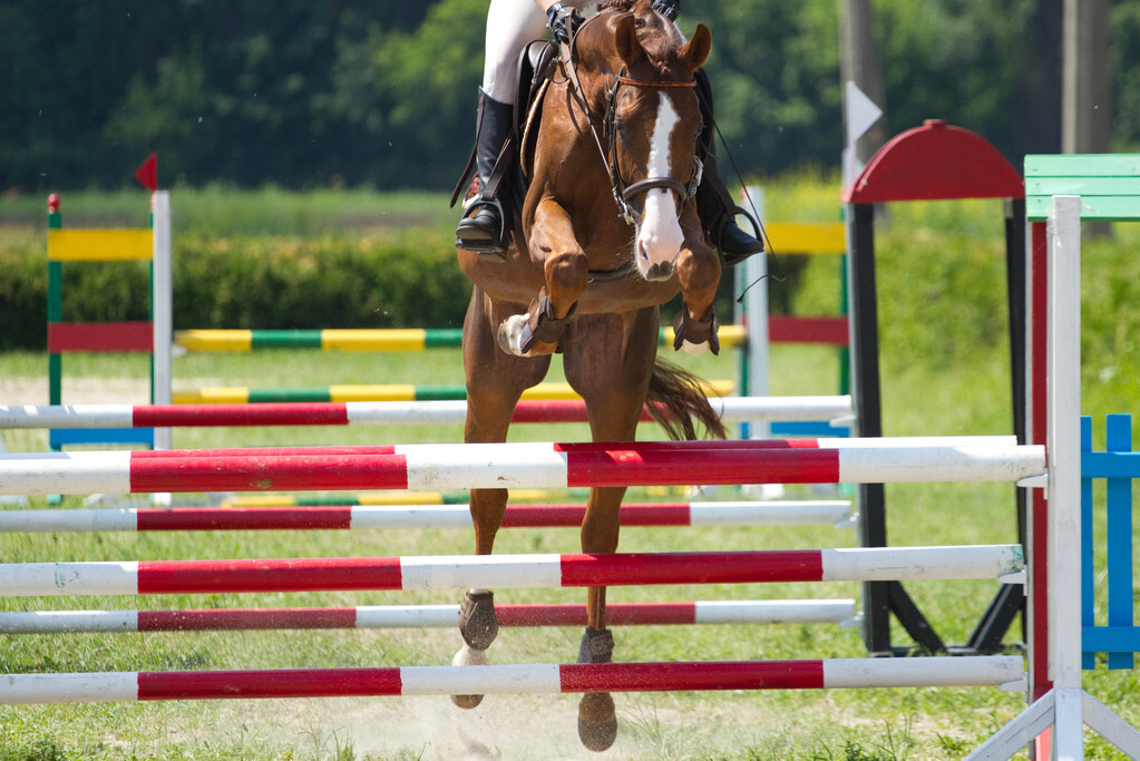 你可能不知道的极限运动,你可能不知道的运动小常识