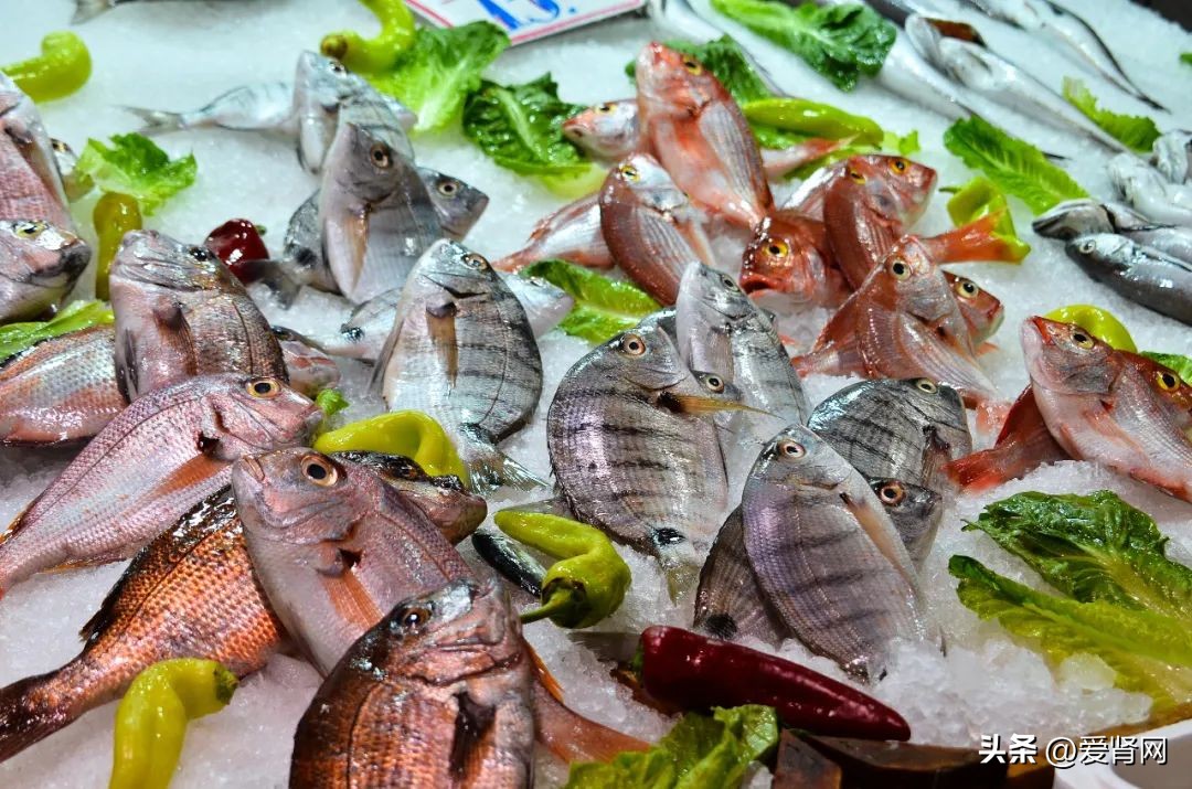 多吃鱼对肾衰竭有好处吗,肾病吃鱼好不好