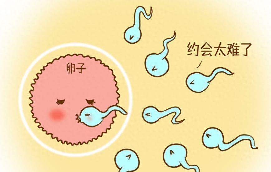 穿越时空的勇士,穿越时空的小战士