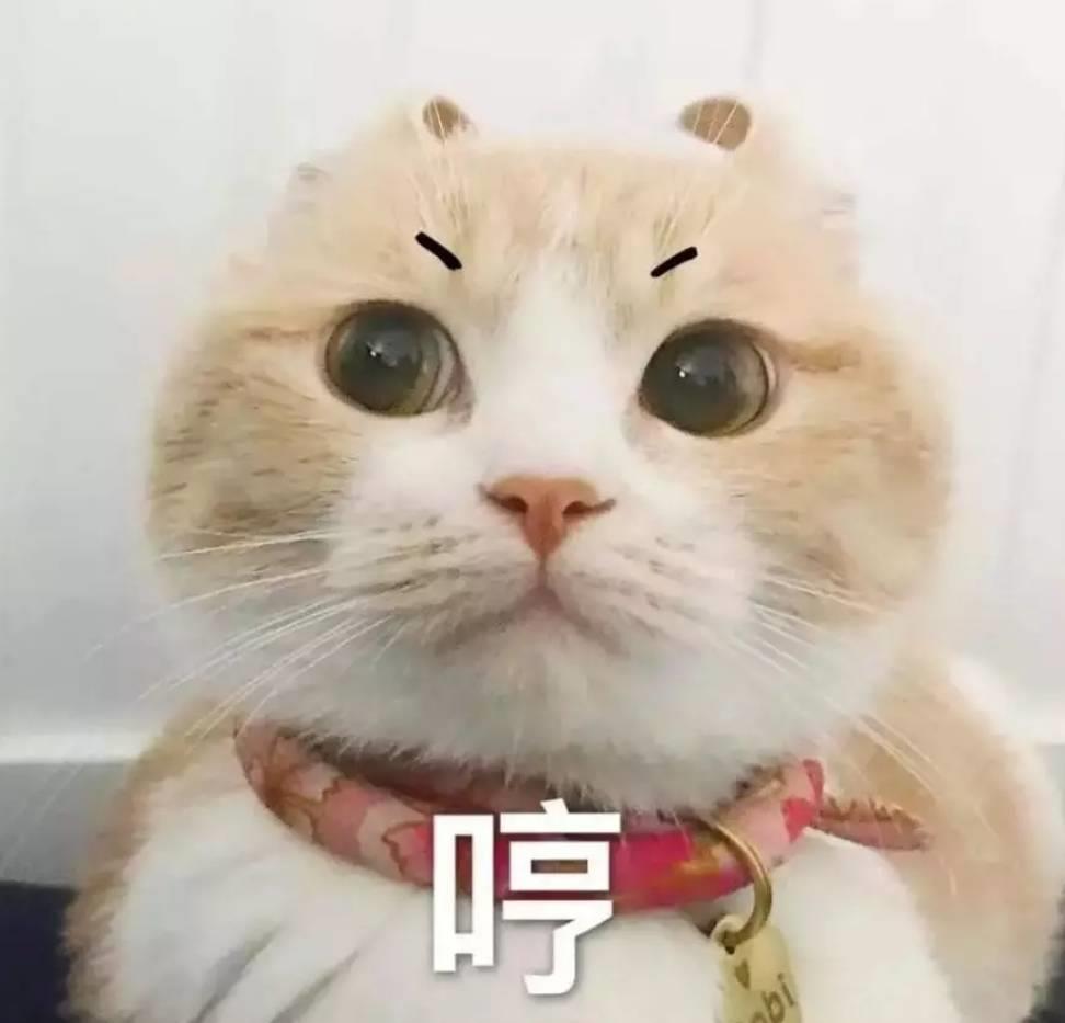 下班回来笑话大全,下班到丈母娘家的幽默笑话