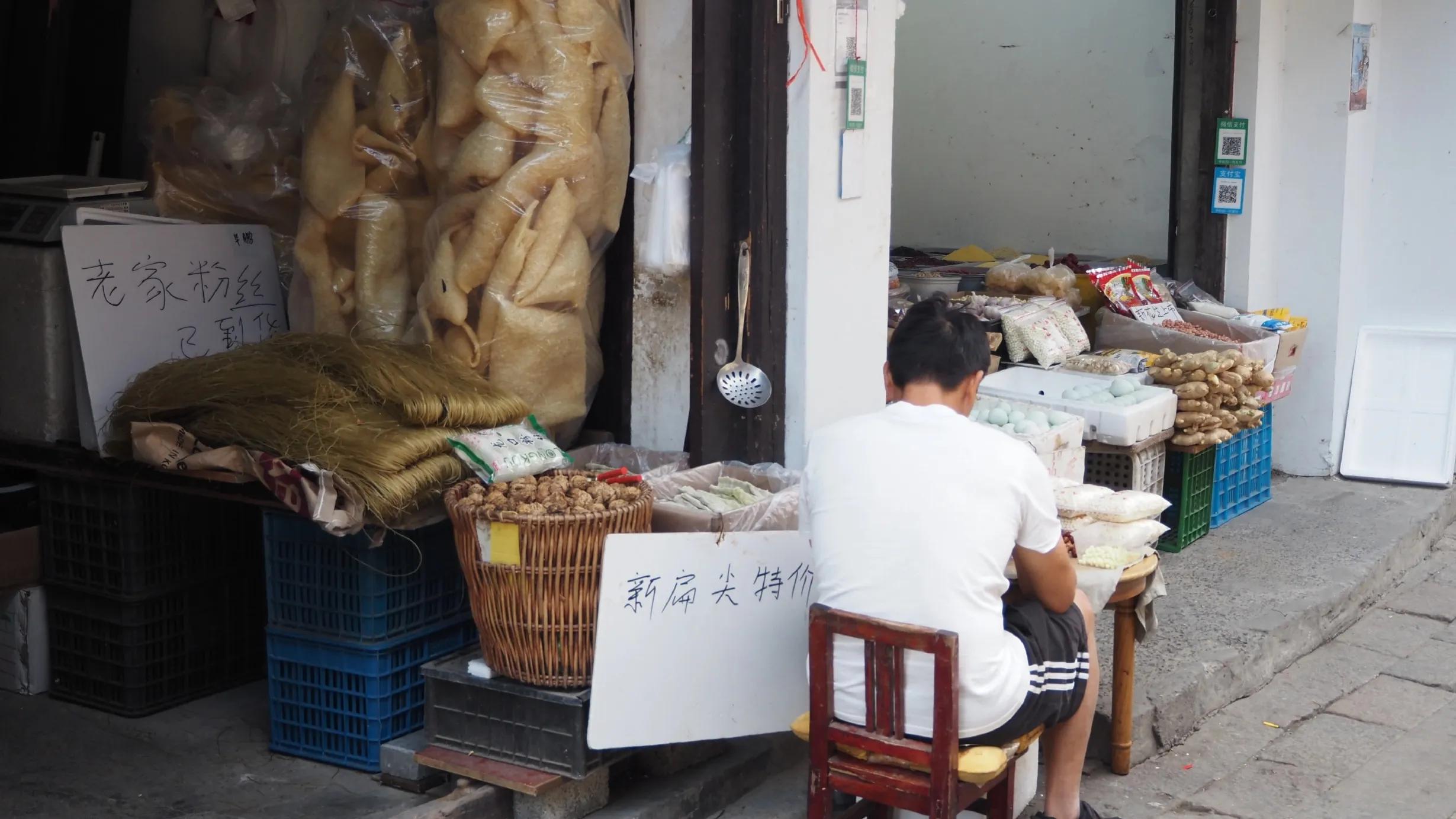 送你一段江南梦（又名:我最爱的苏州旅游线路，爱猫人士必逛）