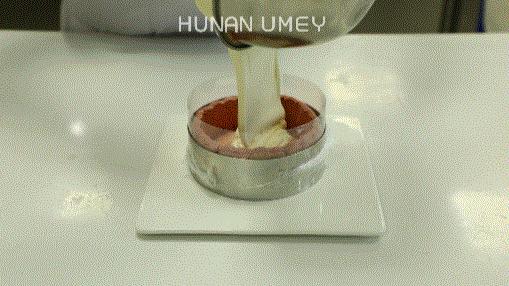 夏洛特公主蛋糕,草莓夏洛特慕斯蛋糕