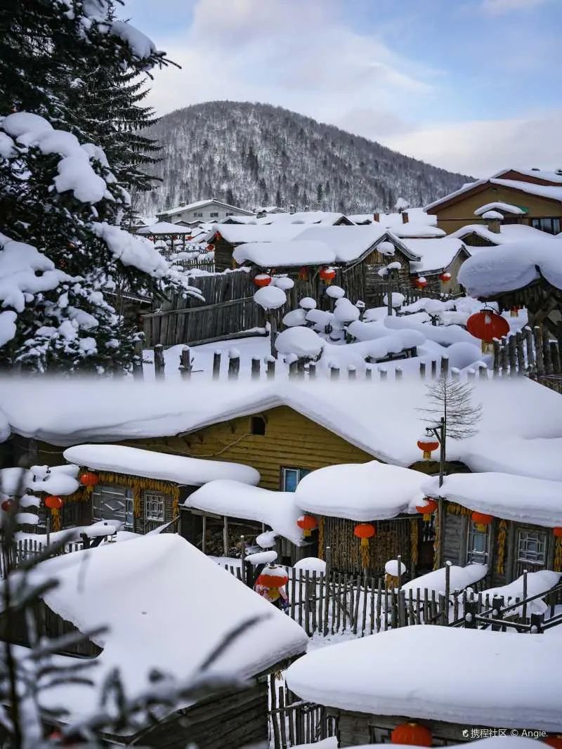 豪华专列游北疆,豪华软卧旅游专列