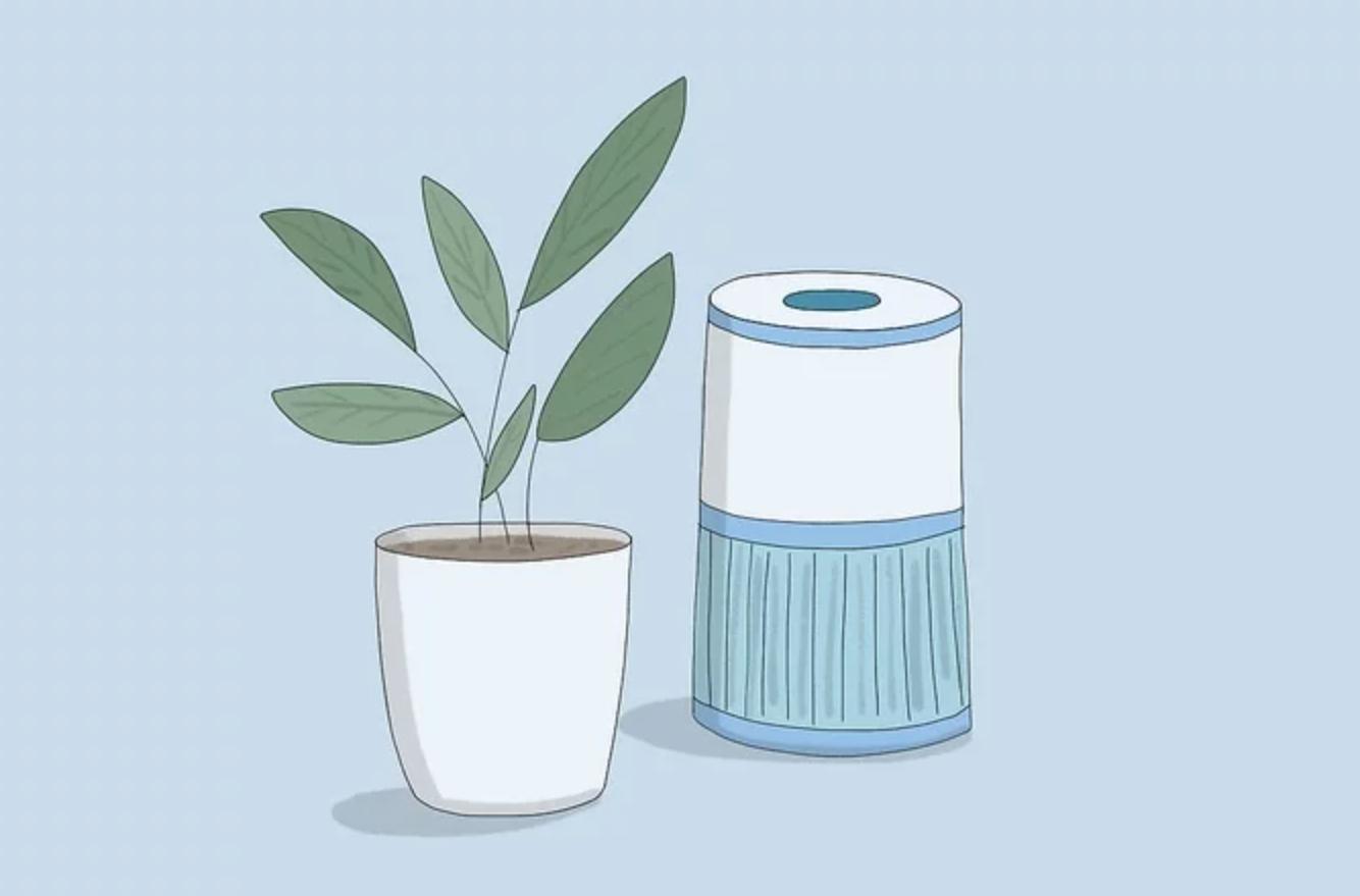 呼吸健康科普推荐,呼吸健康教育科普