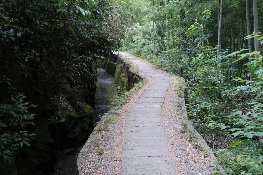 杭州冬日旅游自驾,杭州周边避暑两日自驾游攻略