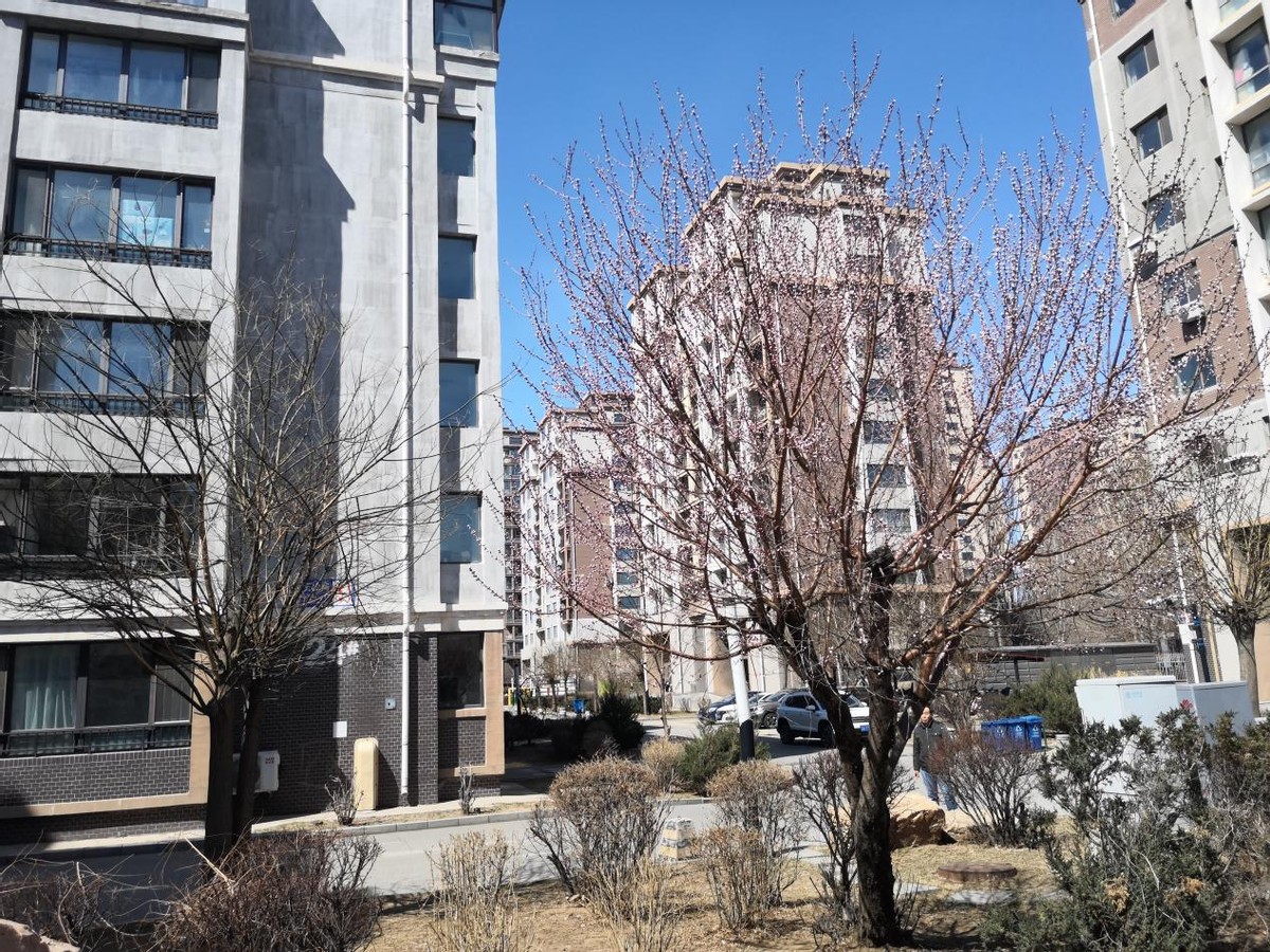 这几年最困难的高考生,最悲催的两届高考生