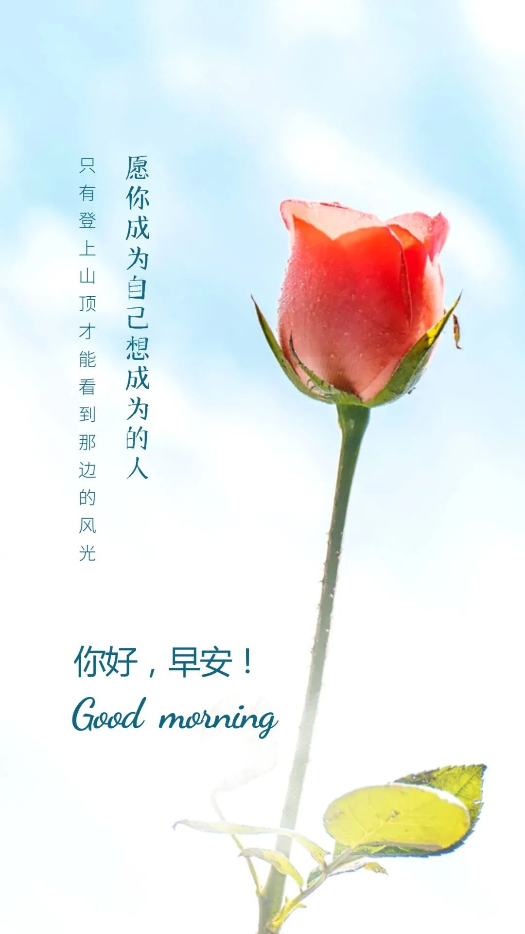 早安心语每日经典图片,早安心语短句2020早安图