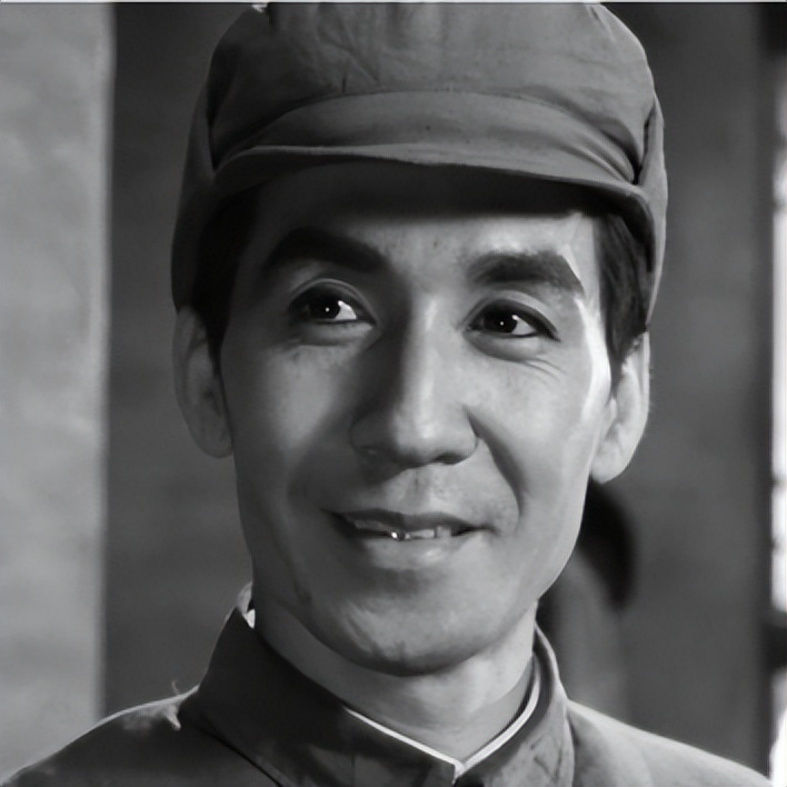 关于革命的小说红日简介,长篇小说红日沈振新的原型是谁