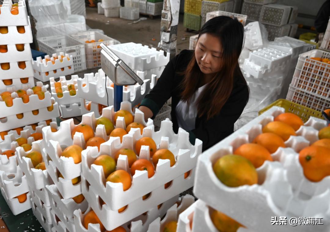 朋友圈里的二十大时光|年销数千万元！“95后”返乡卖猕猴桃：要让乡亲钱包鼓起来