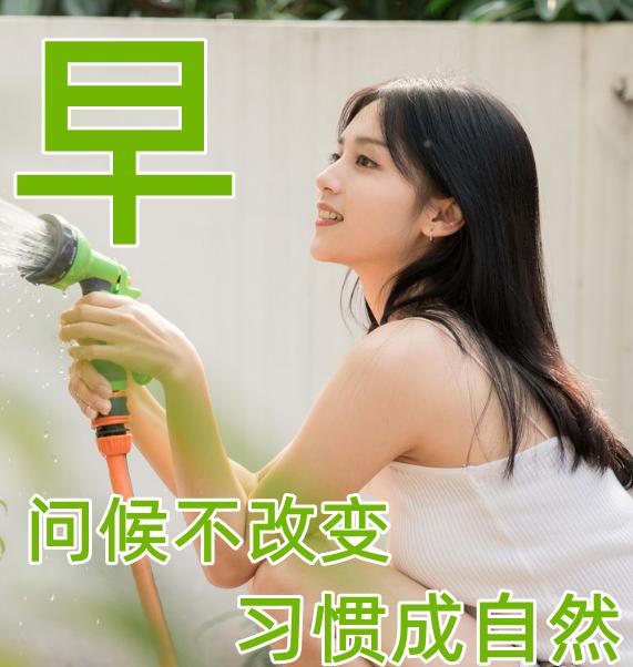 经典动人的早安心语语录汇编76条,早安心语带字正能量简短的句子