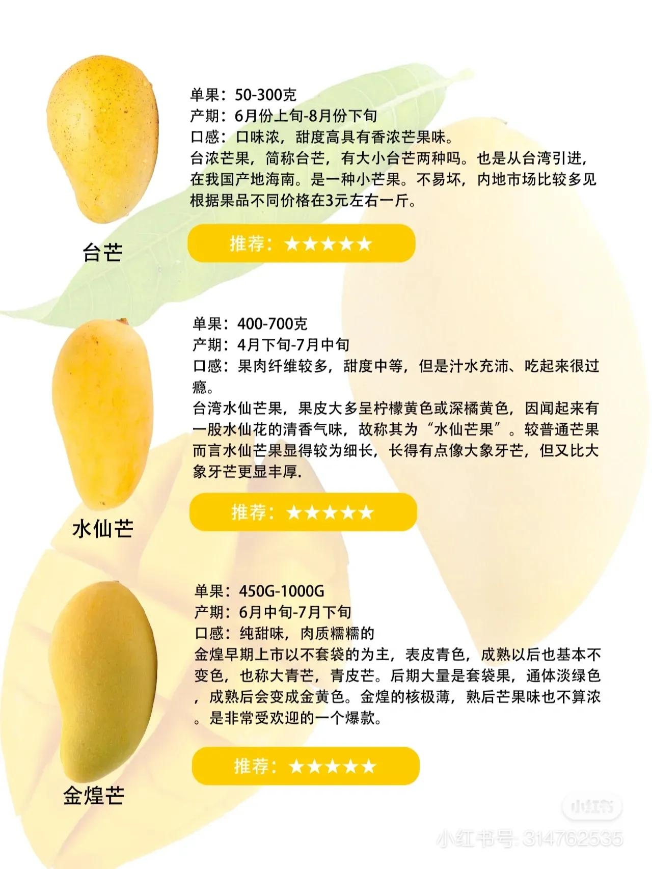 常见芒果的区别及口感,常见芒果的区别