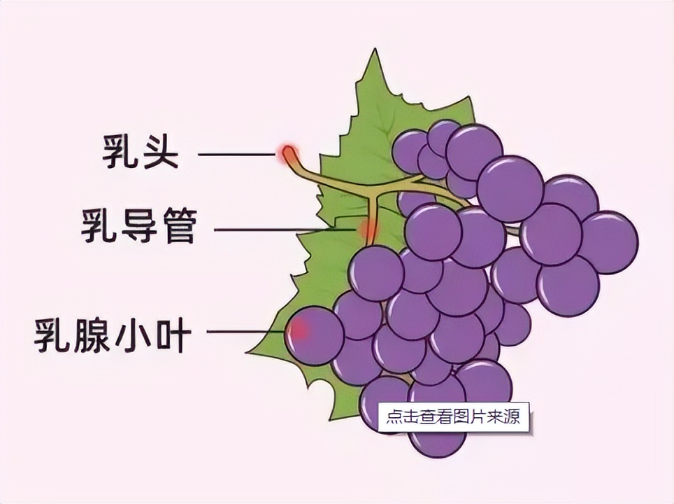 预防乳腺结节的健身操,乳腺结节手术后怎样预防复发