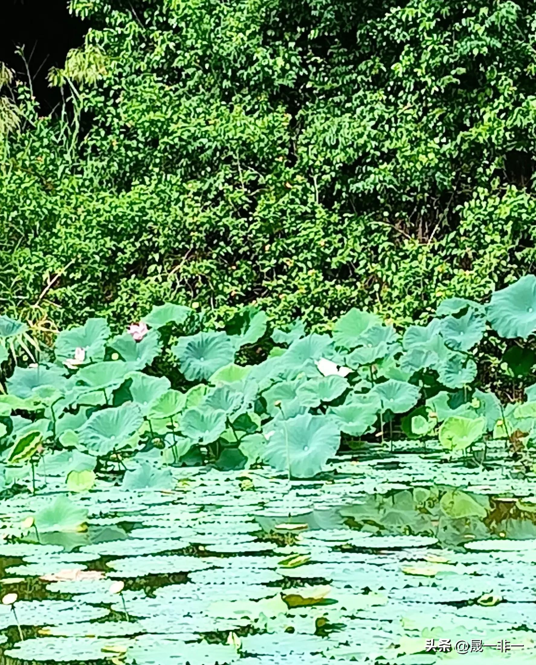 20天宝宝拉绿色的便便是什么原因,宝宝拉绿色便便什么原因该怎么办