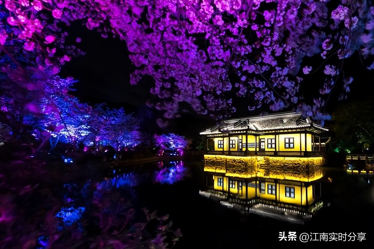 太湖鼋头渚樱花谷唯美浪漫,无锡太湖鼋头渚赏樱攻略