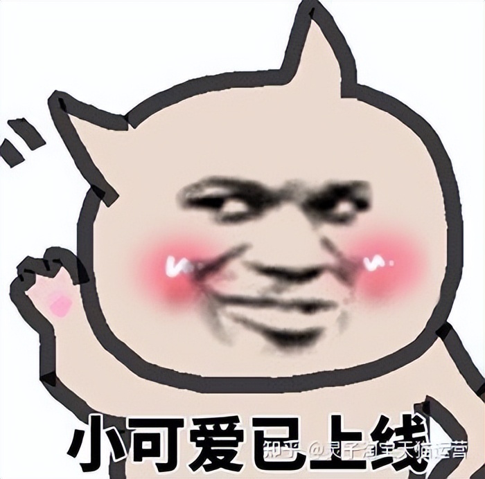 杭州天猫代运营怎么收费,杭州天猫淘宝代运营服务怎么样