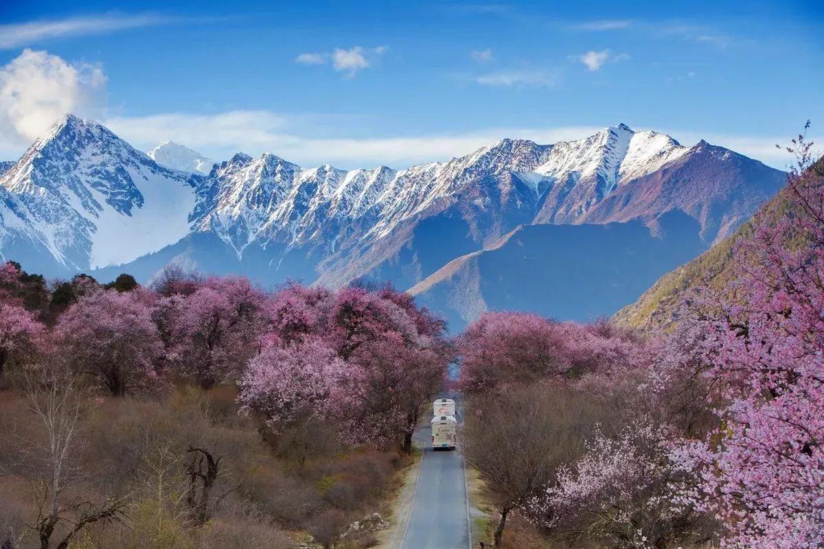 怎么分辨蜂蜜是喂糖水的,喂糖水的蜂蜜是纯蜂蜜吗