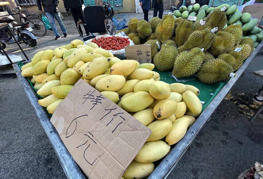 带大家看看东北早市物价多便宜,看东北早市物价冬天囤菜